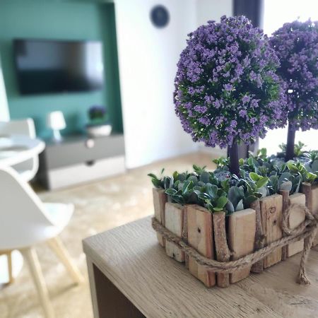 Apartament Karpaty Криница-Здруй Екстериор снимка