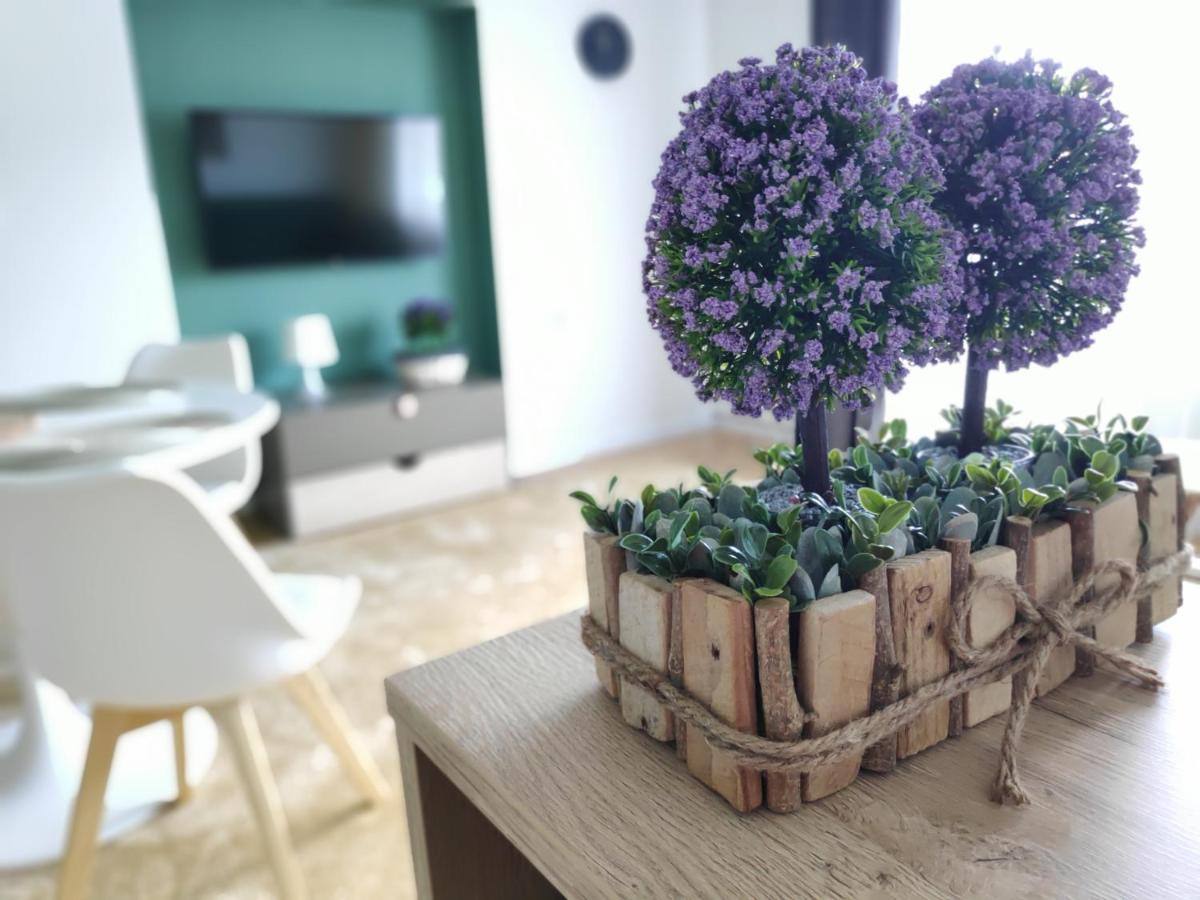 Apartament Karpaty Криница-Здруй Екстериор снимка